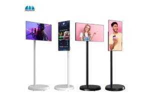 21.5-inch LCD monitor